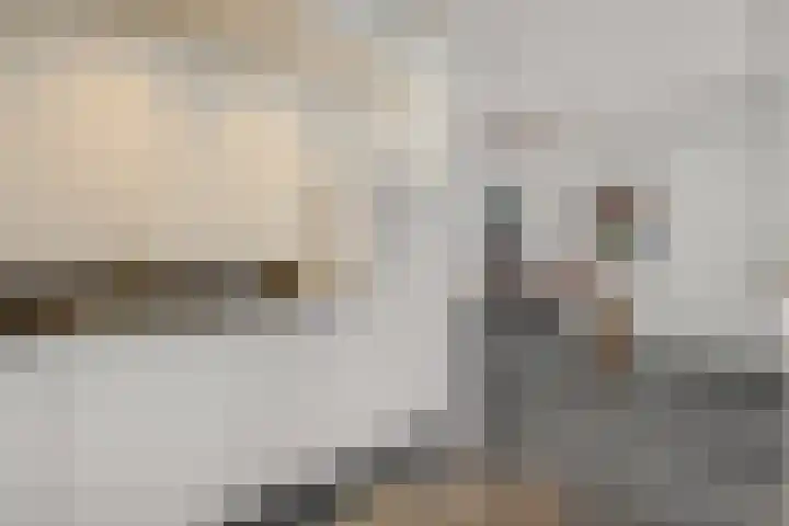 Leon van Kelpenaarstraat 15 Deurne thumbnail 21