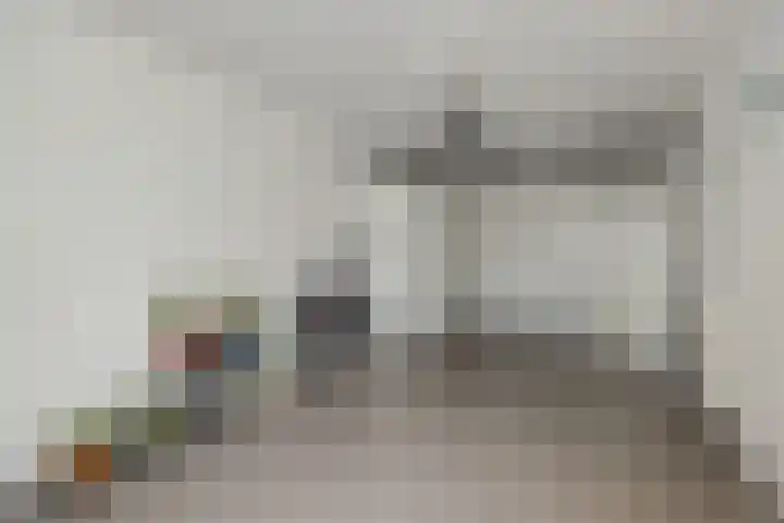 Leon van Kelpenaarstraat 15 Deurne thumbnail 23