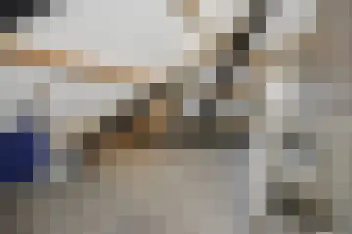 Leon van Kelpenaarstraat 15 Deurne thumbnail 34