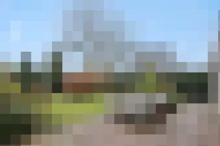 Leon van Kelpenaarstraat 15 Deurne thumbnail 37