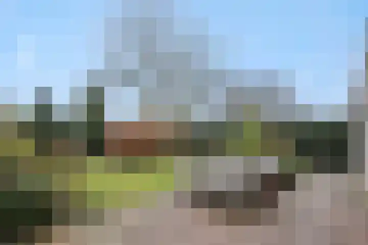 Leon van Kelpenaarstraat 15 Deurne thumbnail 5