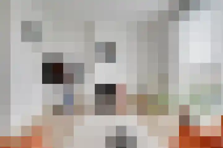 Leonard Bernsteinkade 28 Utrecht thumbnail 23