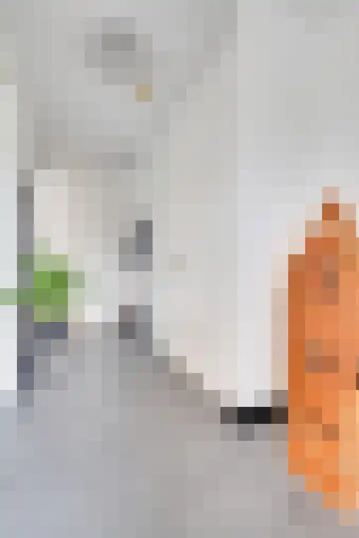 Leonard Bernsteinkade 28 Utrecht thumbnail 6
