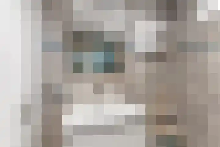 Leonard Bernsteinstraat 102 Almere thumbnail 23
