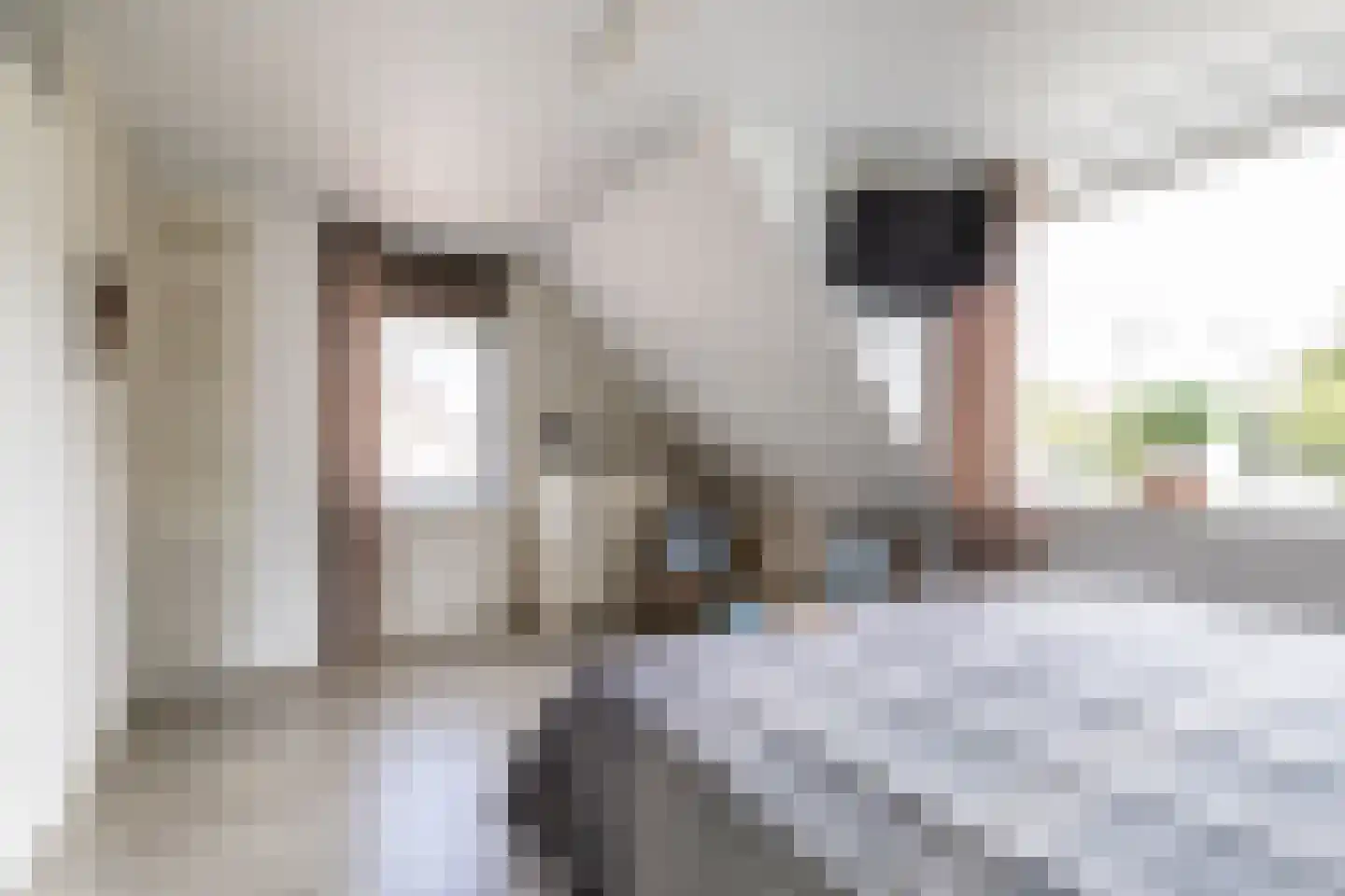 Leonard Bernsteinstraat 103 Almere thumbnail 34
