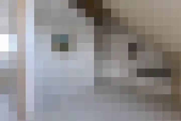Leonard Bernsteinstraat 36 Zaandijk thumbnail 25