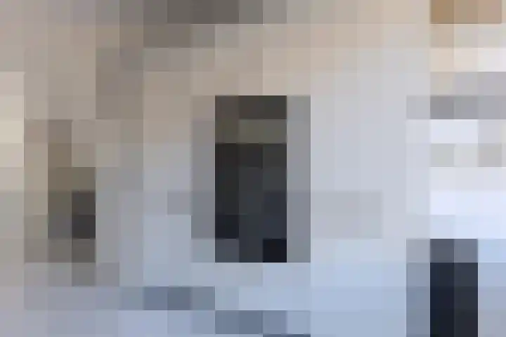 Leonard Bernsteinstraat 36 Zaandijk thumbnail 8