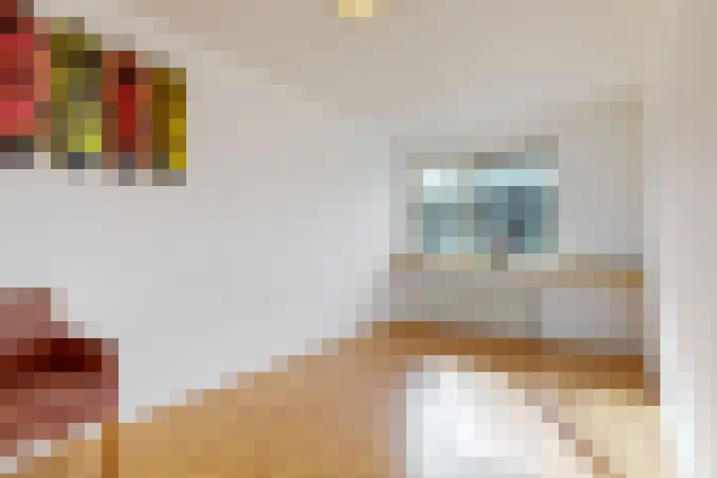 Leonard Bernsteinstraat 37 Zaandijk thumbnail 10