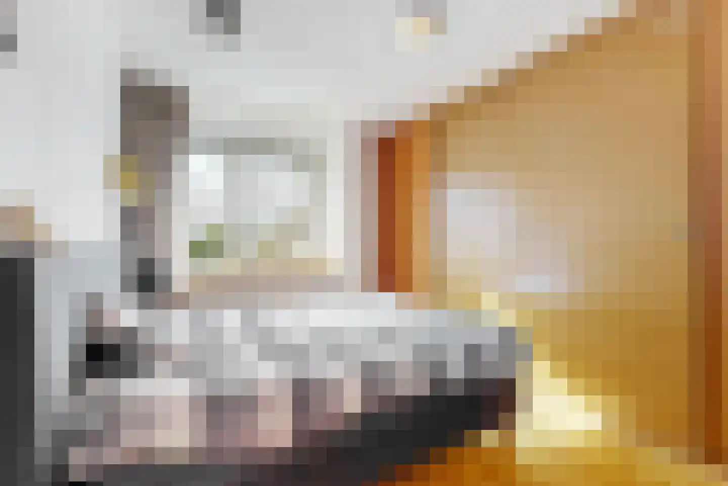 Leonard Bernsteinstraat 37 Zaandijk thumbnail 11