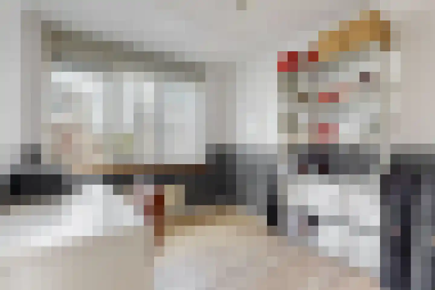 Leonard Bernsteinstraat 37 Zaandijk thumbnail 12