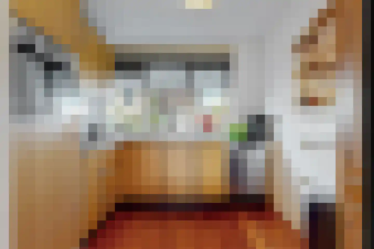 Leonard Bernsteinstraat 37 Zaandijk thumbnail 8