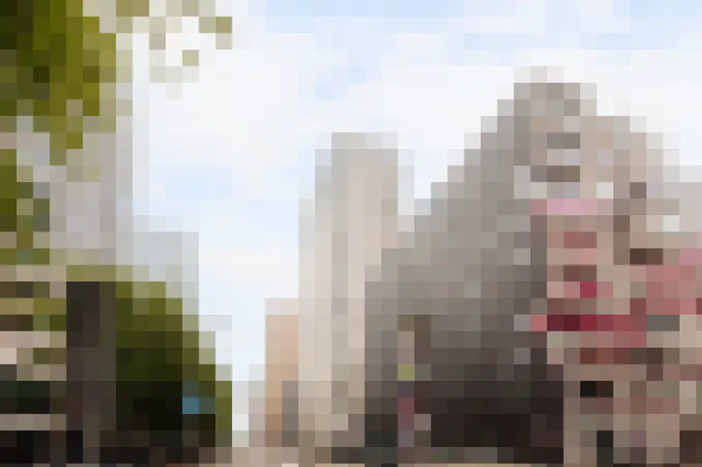 Leonard Bernsteinstraat 58 Amsterdam thumbnail 4