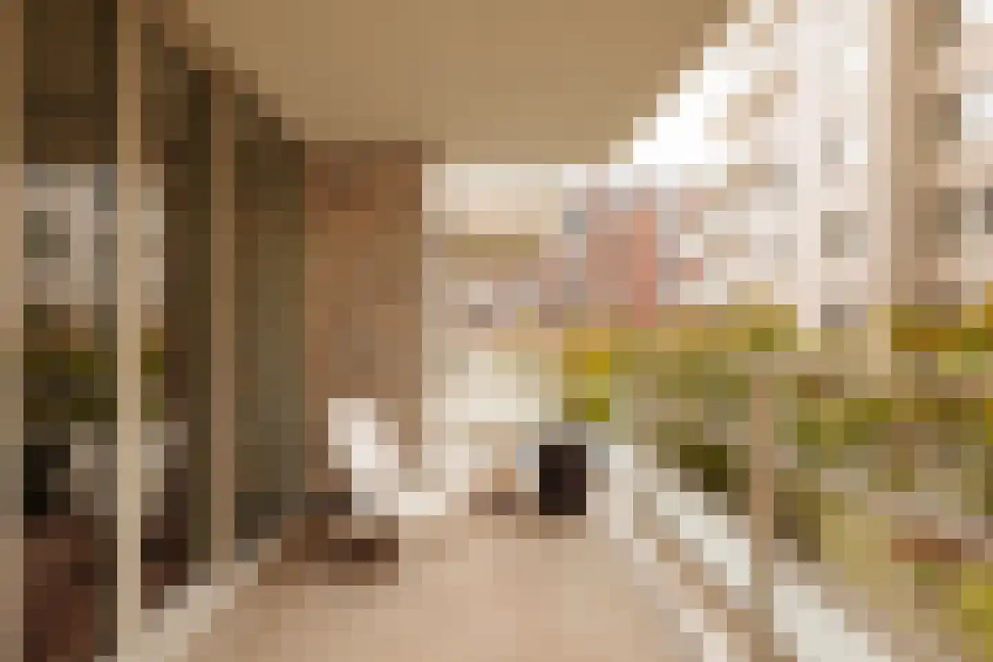 Leonard Bernsteinstraat 62 A Amsterdam thumbnail 22