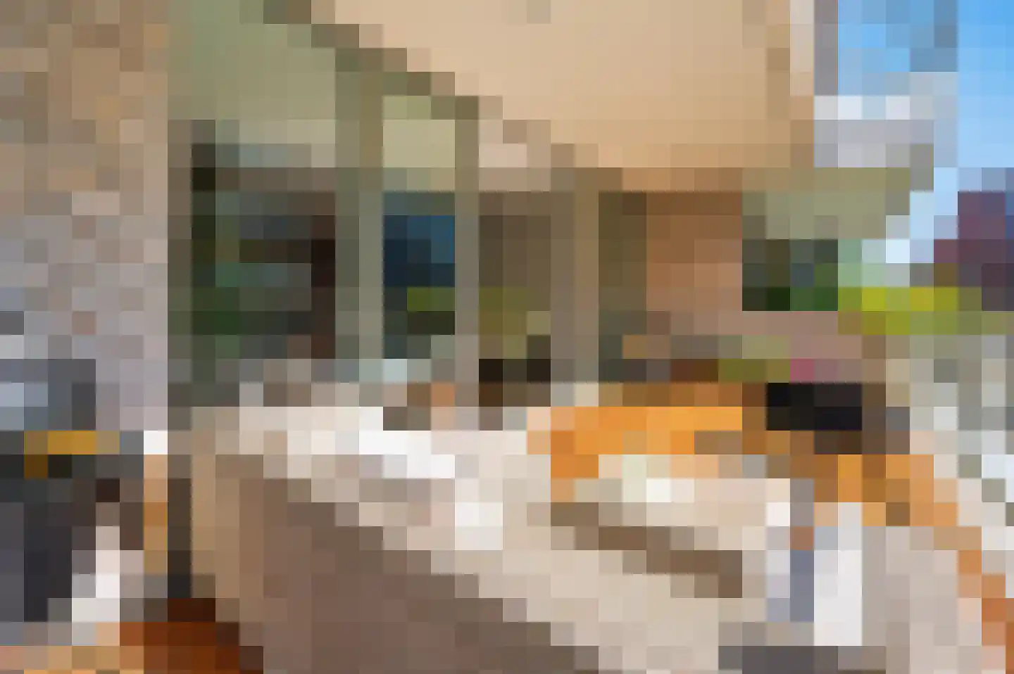 Leonard Bernsteinstraat 64 C Amsterdam thumbnail 34