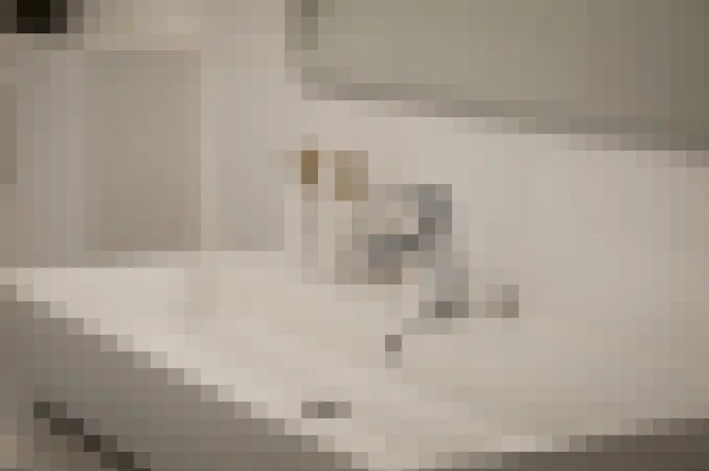 Leonard Bernsteinstraat 66 D Amsterdam thumbnail 32