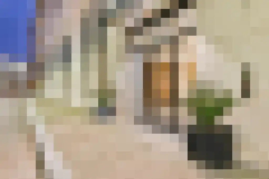 Leonard Bernsteinstraat 70 B Amsterdam thumbnail 33