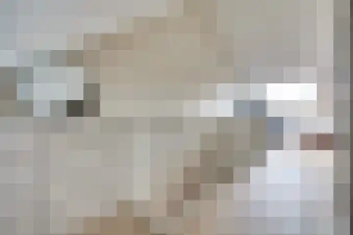 Leonard Roggeveenstraat 42 's-Gravenzande thumbnail 38