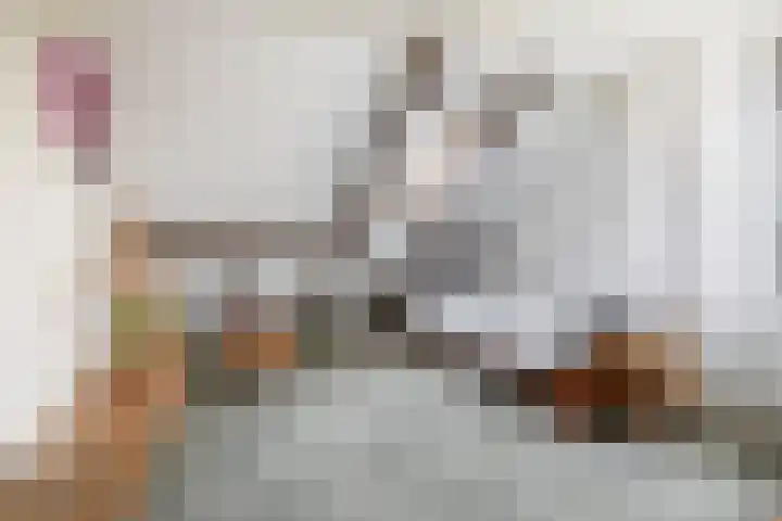 Leonard Roggeveenstraat 67 Wageningen thumbnail 33