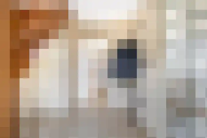 Leonard Roggeveenstraat 67 Wageningen thumbnail 9