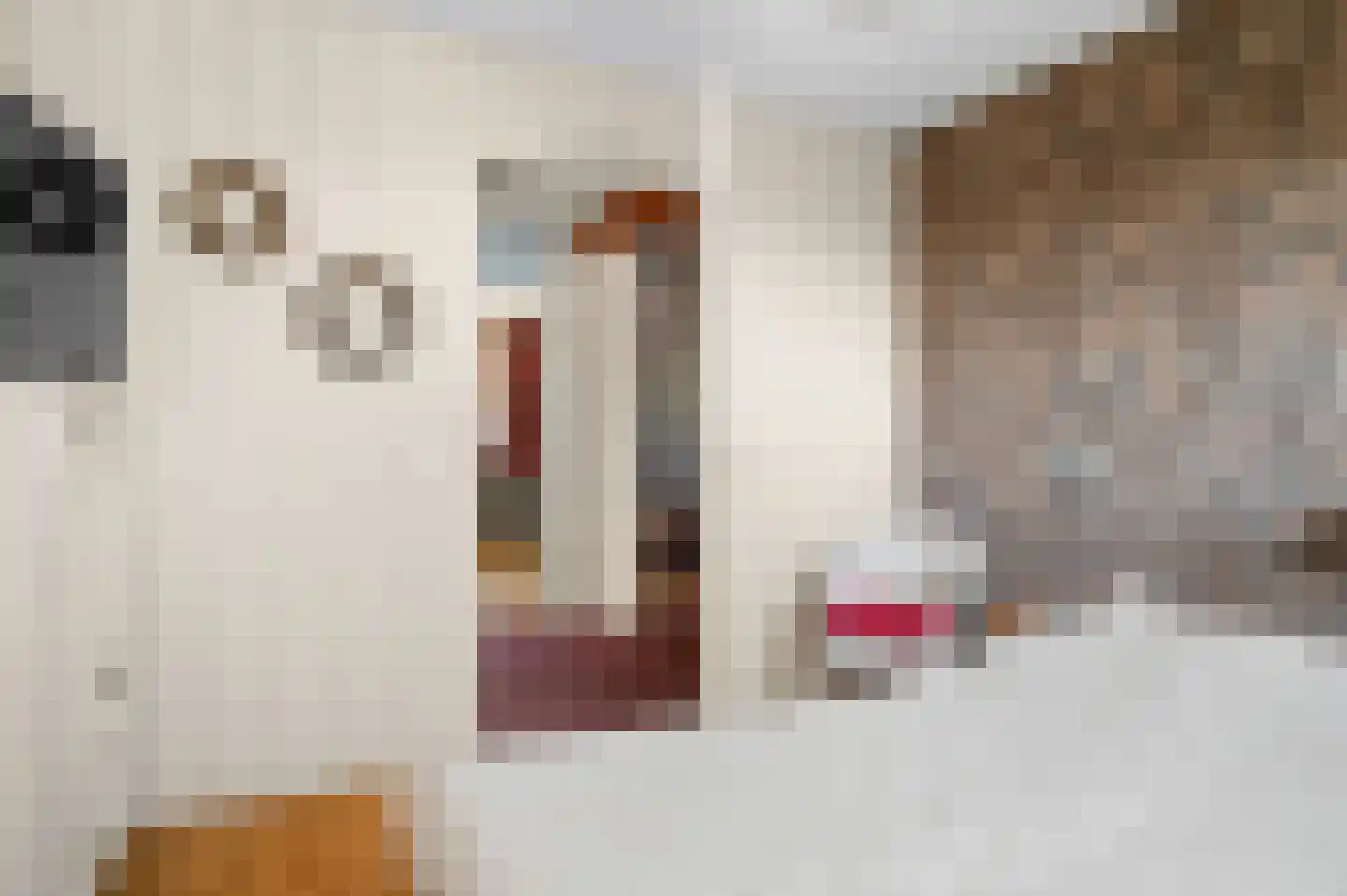 Leonard Springerlaan 10 Deventer thumbnail 13
