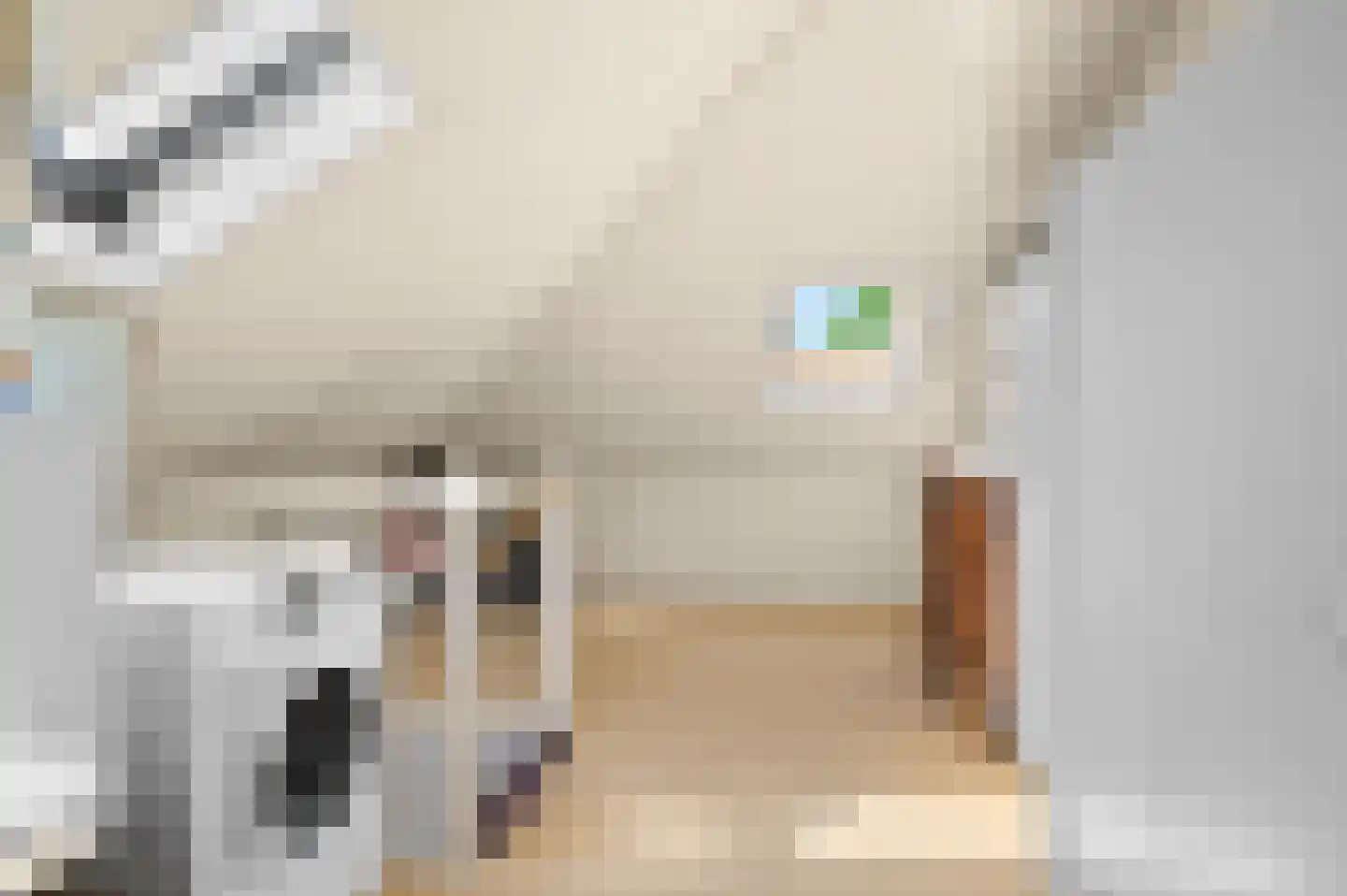 Leonard Springerlaan 10 Deventer thumbnail 21