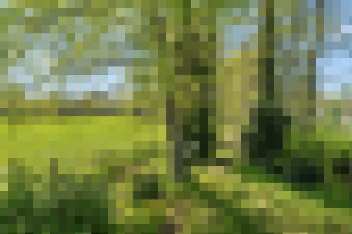 Leonard Springerlaan 10 Deventer thumbnail 33