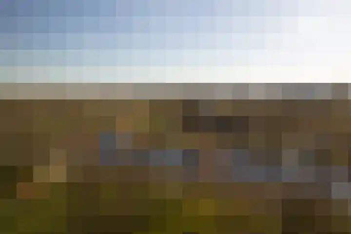 Leonard Springerlaan 111 Haarlem thumbnail 14