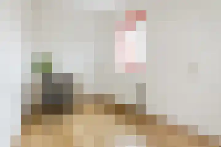 Leonard Springerlaan 111 Haarlem thumbnail 18