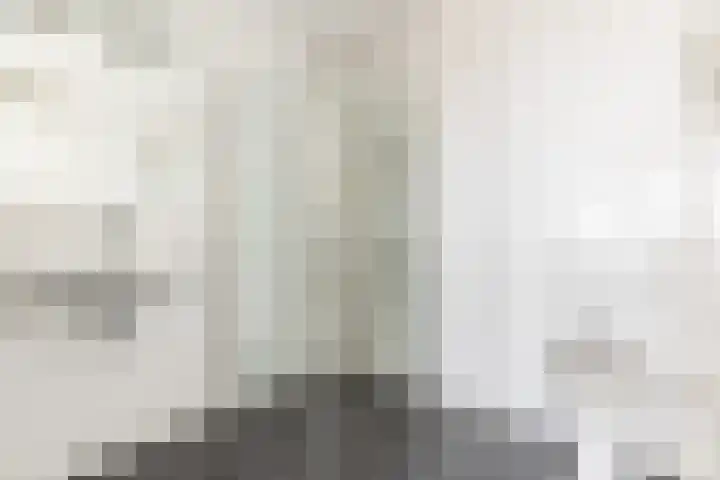 Leonard Springerlaan 111 Haarlem thumbnail 19