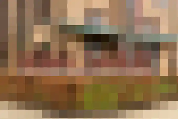 Leonard Springerlaan 111 Haarlem thumbnail 24