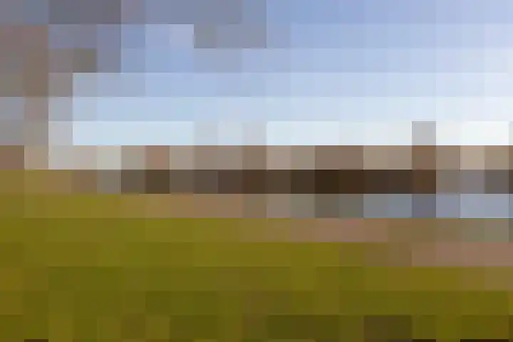 Leonard Springerlaan 111 Haarlem thumbnail 25
