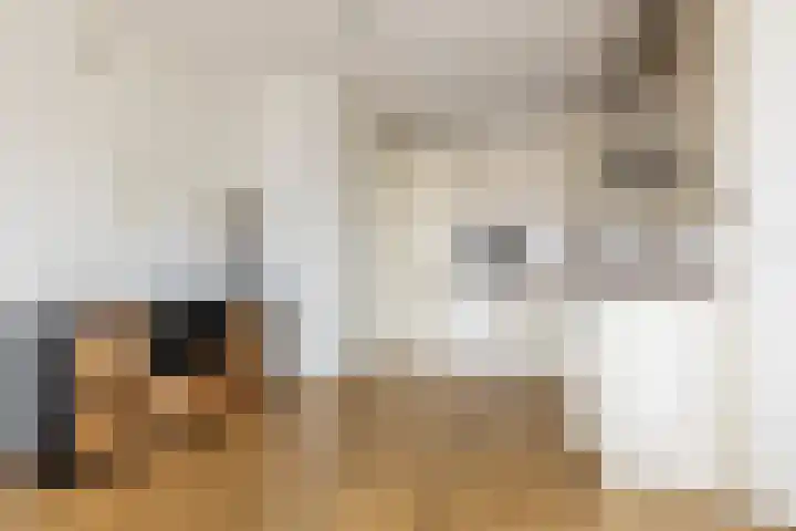 Leonard Springerlaan 111 Haarlem thumbnail 8