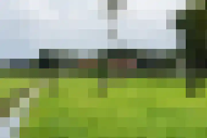 Leonard Springerlaan 119 Haarlem thumbnail 21