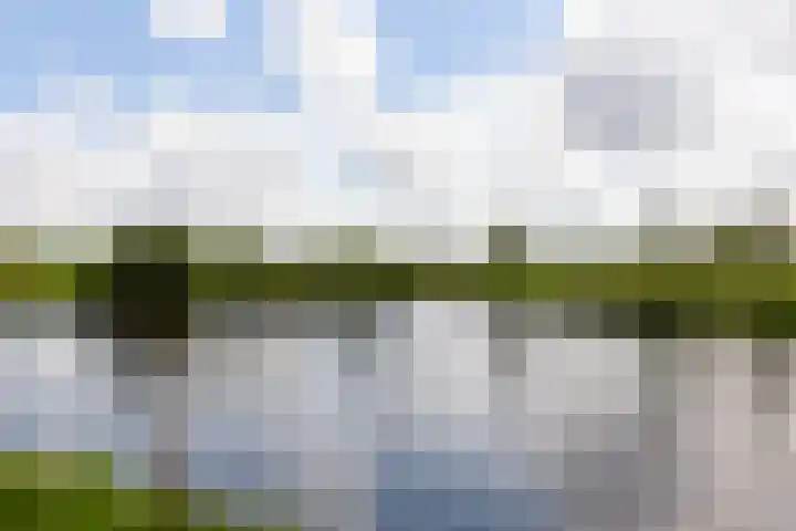 Leonard Springerlaan 119 Haarlem thumbnail 22