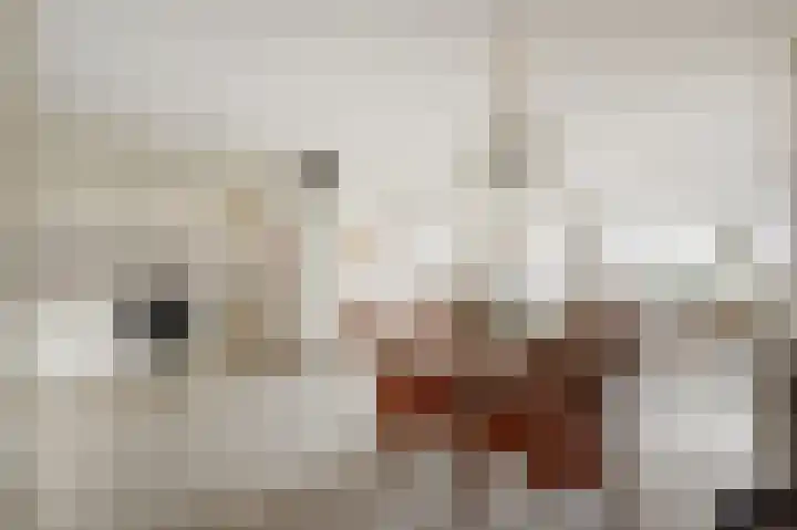 Leonard Springerlaan 119 Haarlem thumbnail 6