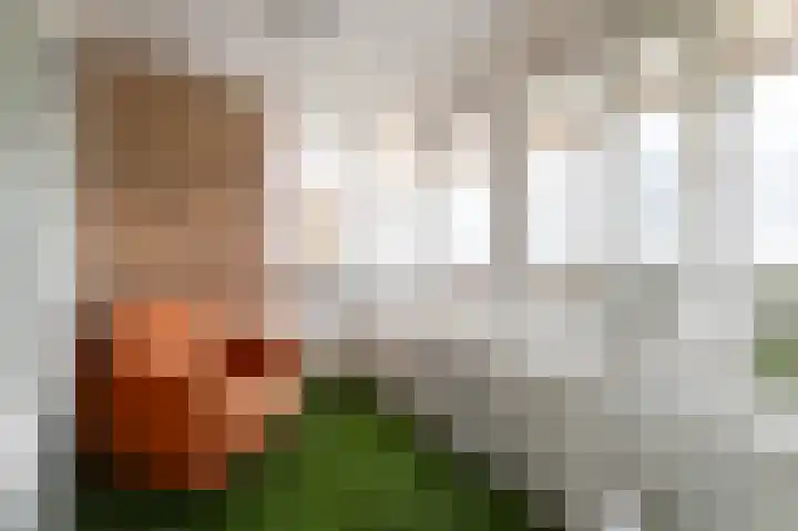 Leonard Springerlaan 119 Haarlem thumbnail 8