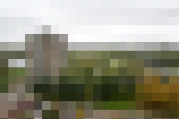 Leonard Springerlaan 119 Haarlem thumbnail 9