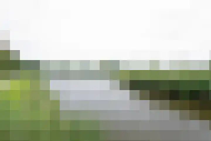 Leonard Springerlaan 121 Haarlem thumbnail 27