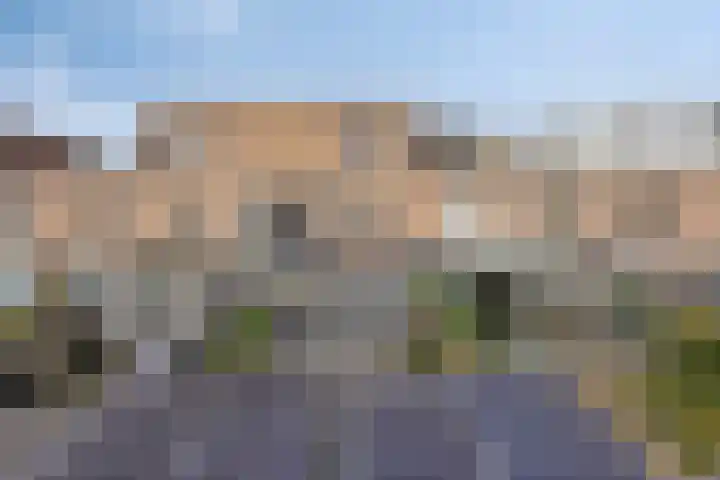 Leonard Springerlaan 140 Deventer thumbnail 25