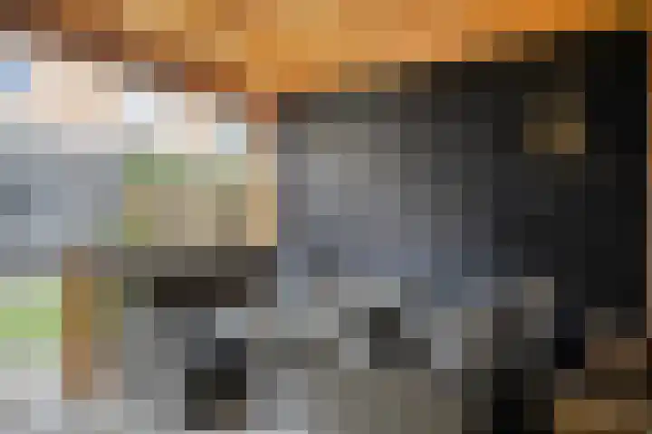 Leonard Springerlaan 140 Deventer thumbnail 31