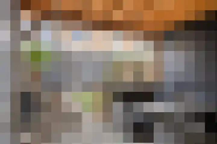 Leonard Springerlaan 140 Deventer thumbnail 32
