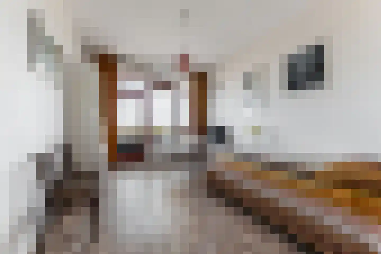 Leonard Springerlaan 143 Haarlem thumbnail 15