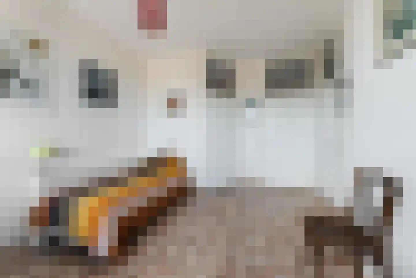 Leonard Springerlaan 143 Haarlem thumbnail 16