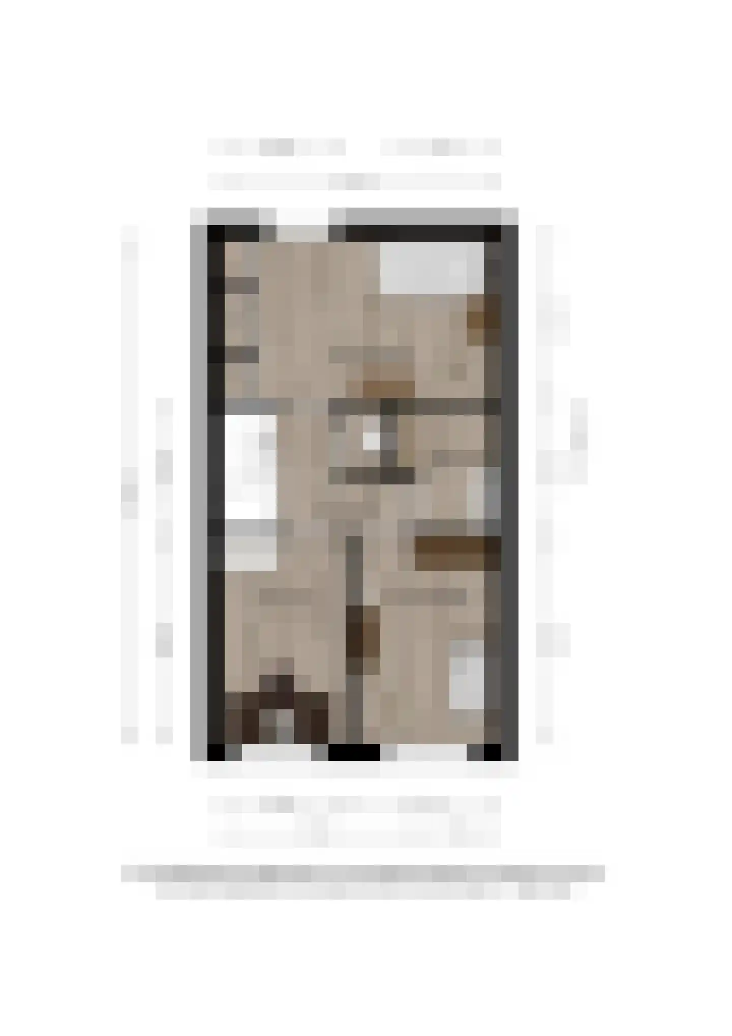 Leonard Springerlaan 164 Deventer thumbnail 35