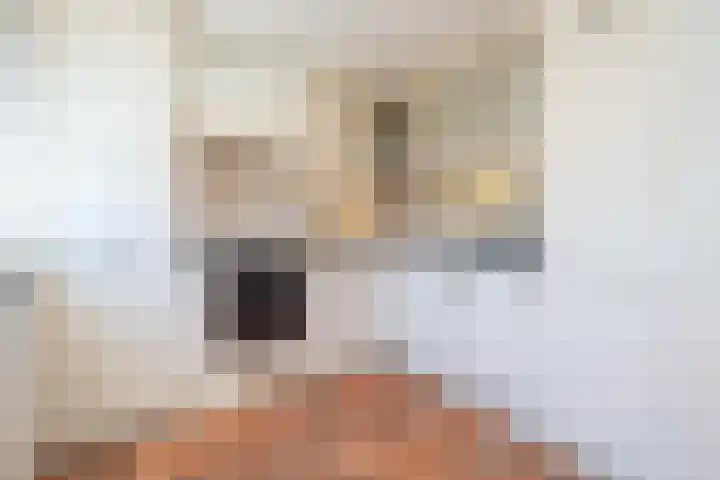 Leonard Springerlaan 202 Deventer thumbnail 13