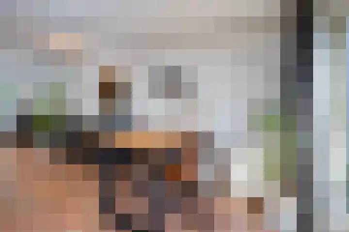 Leonard Springerlaan 202 Deventer thumbnail 14