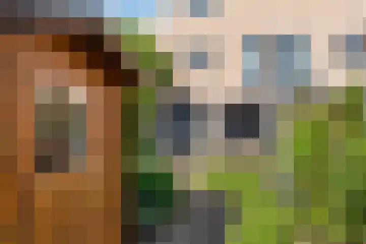 Leonard Springerlaan 202 Deventer thumbnail 22