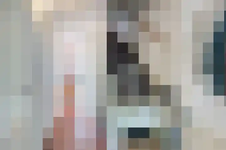 Leonard Springerlaan 202 Deventer thumbnail 5