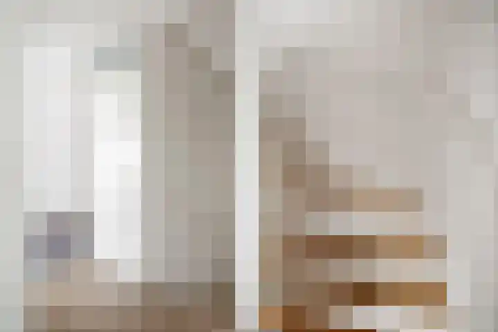 Leonard Springerlaan 205 Deventer thumbnail 19