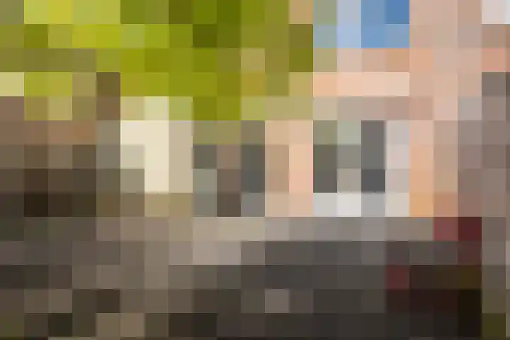 Leonard Springerlaan 205 Deventer thumbnail 25